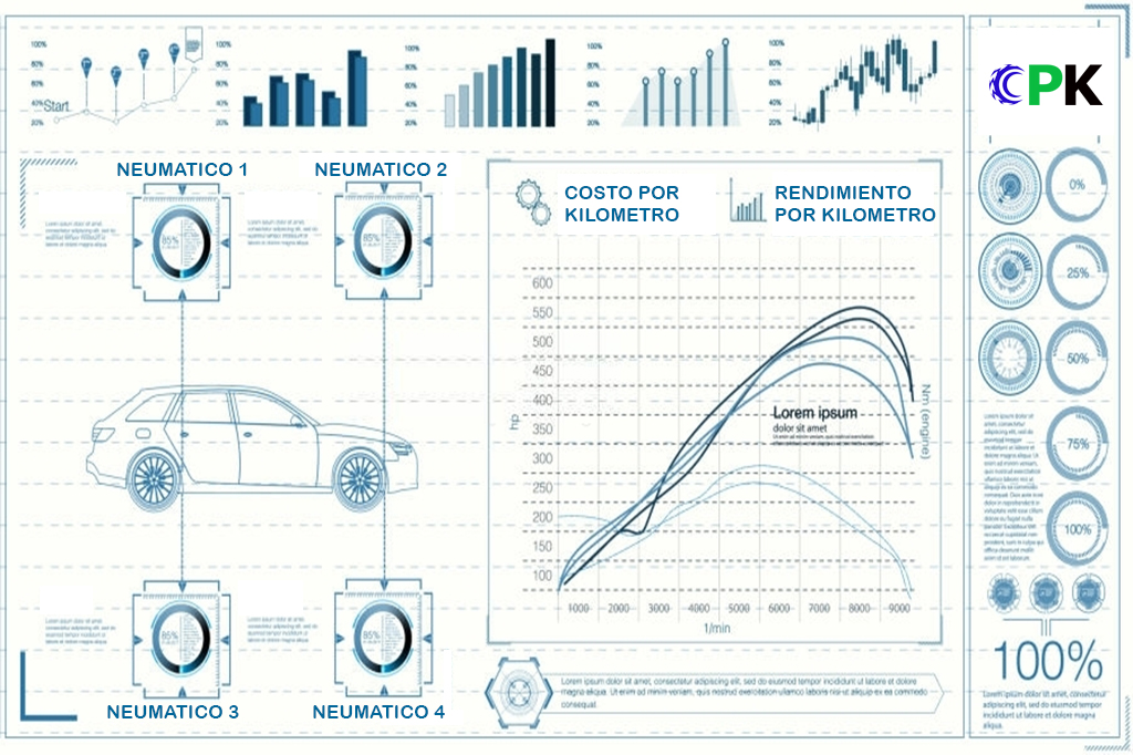 INDICADORES DE NEUMATICOS